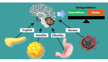 Hormonal Imbalance